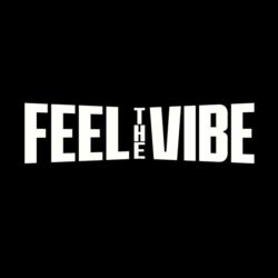 Feel The Vibe festival elektronické hudby Krnov