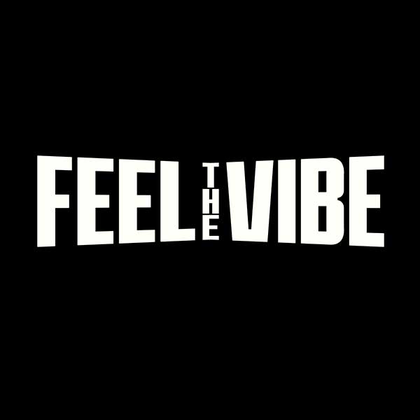 Feel The Vibe festival elektronické hudby Krnov